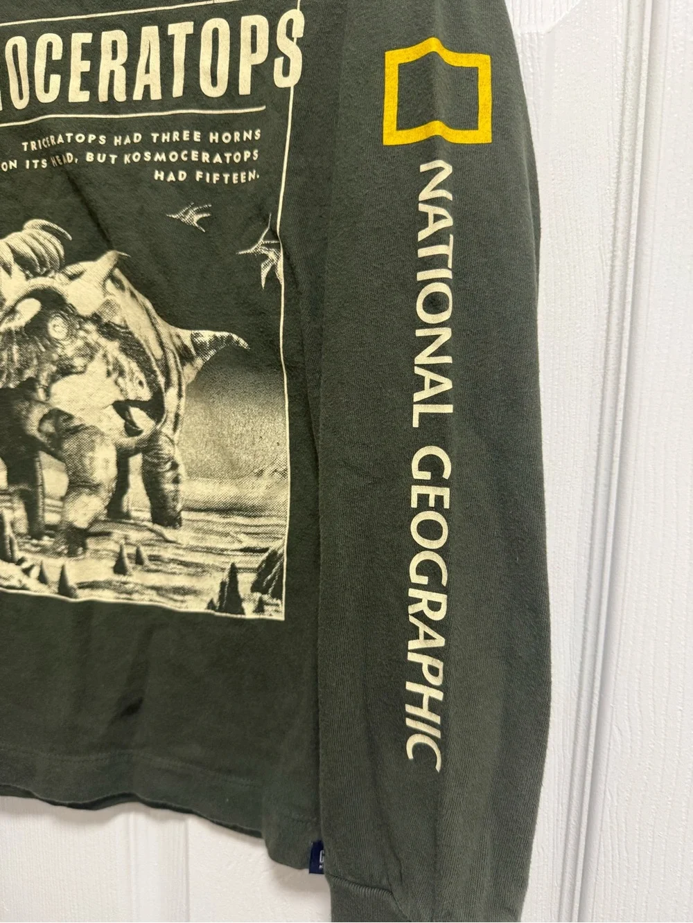 Gap Kids National Geographic Kids Olive Green Dinosaur Graphic Long Sleeve Tee
